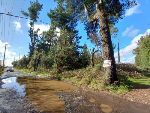 Los Espinos Km 11 Camino A Coihueco