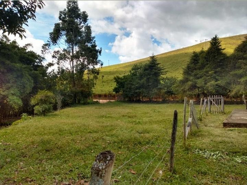 Sítio Carvalhos Com 20.000 M2 - 494