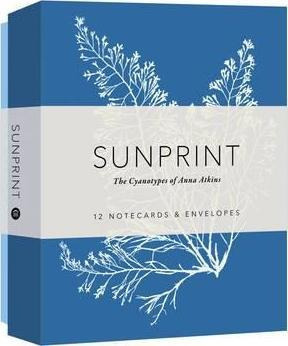 Sunprint Notecards  The Cyanotypes Of Anna Atki Imporaqwe