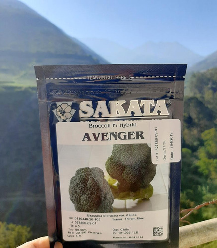 Brocolí Sakata Avenguer F1