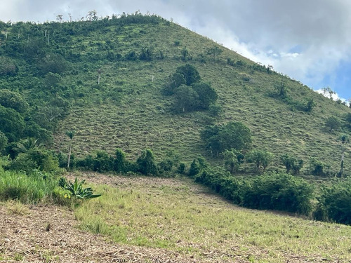 Vendo Finca De 710 Tareas En El Seybo Monter