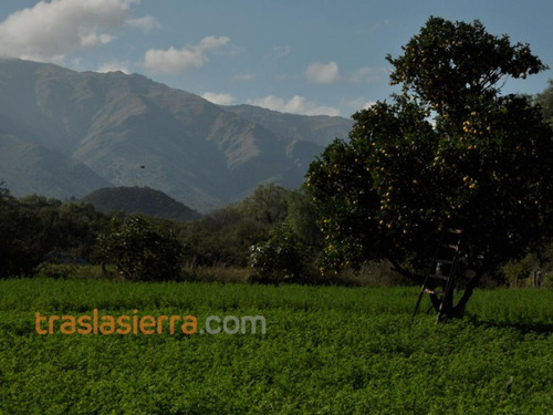 Imagen 2 de 2 de Traslasierra - Cruz De Caña 4 Has C/titulos - Agua Y Luz