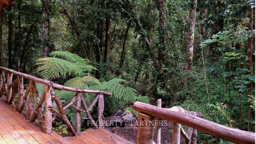 Casa Refugio En Reserva Biológica Huilo Huilo