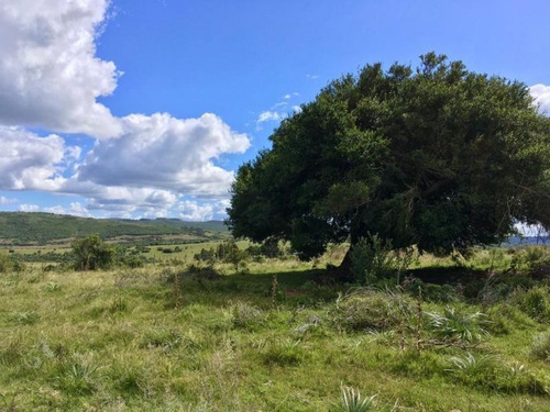 Quinta En Venta En Maldonado