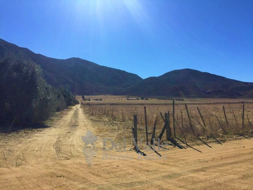 Imagen 7 de 7 de 10 A 40 Ha A Un Costado De La Cetto En Valle De Guadalupe