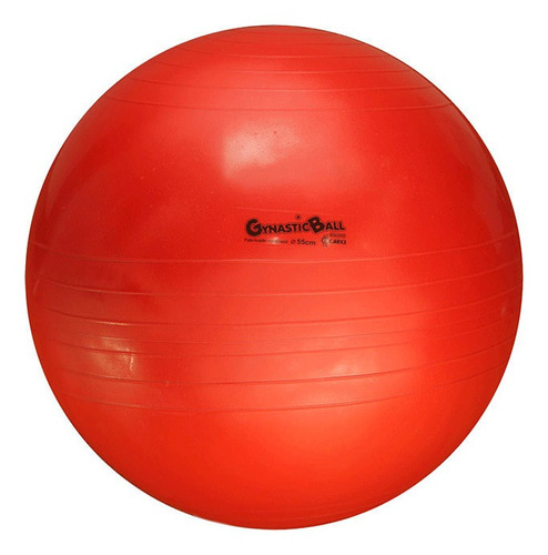 Bola Suiça Para Pilates Rpg Fisioterapia 55cm - Carci