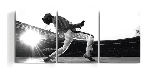 Cuadros Tripticos Foto Queen Freddie Mercury Rock Pop Art +