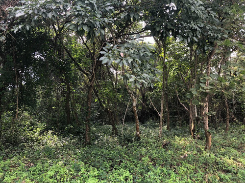 Terreno En Venta En Don Ventura