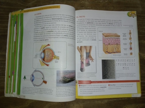 Ciencias Naturales 6. Kapelusz Norma. Clic (Usado)