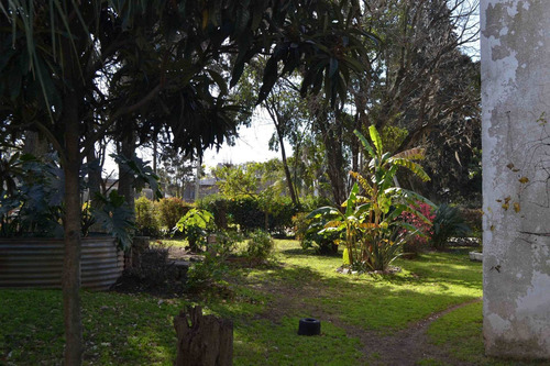 Imagen 6 de 9 de Hermoso Terreno/lote Venta Matheu, Escobar