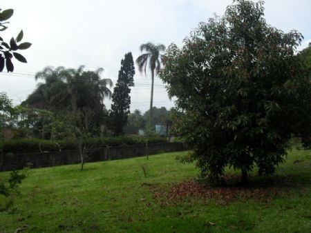 Imagem 4 de 12 de Venda Residential / Land Lot Serra Da Cantareira São Paulo - 1249