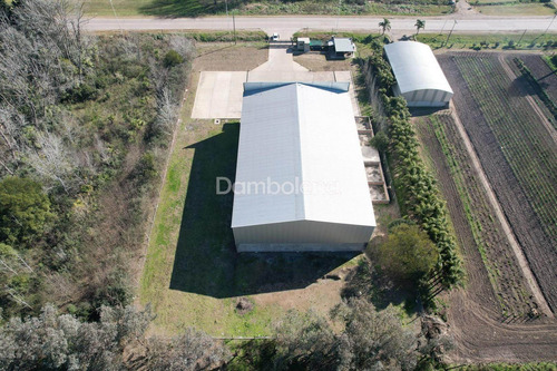 Imagen 7 de 17 de Depósito En Venta Ubicado En General Rodríguez, G.b.a. Zona Oeste