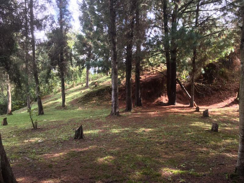 Lote En Venta En Guarne