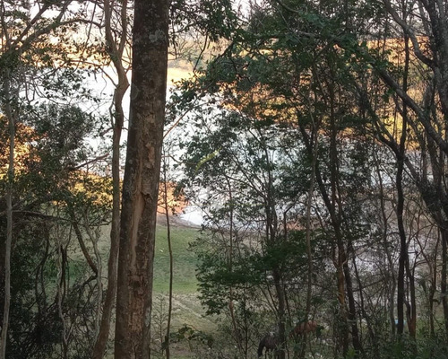 Imagem 20 de 22 de Chácara Na Represa À Venda Em Bragança Paulista Sp - Ch00042 - 68498907