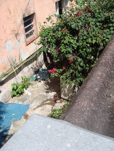 Imagem 12 de 19 de Predio Indianopolis Sao Paulo Sp Brasil - 770