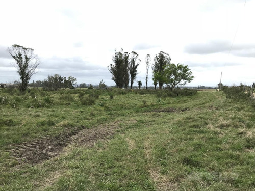 Campo - Manantiales