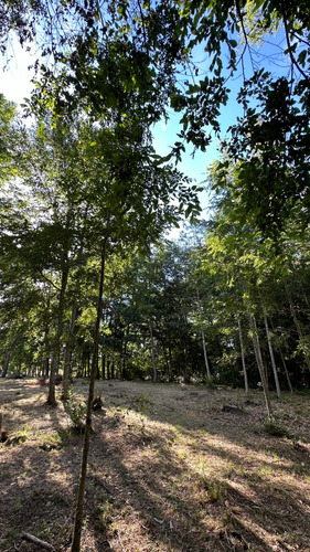 Parcela Urbana En Venta, Gorbea