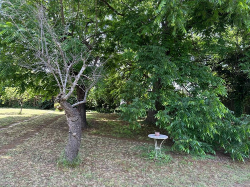 Lote En Venta