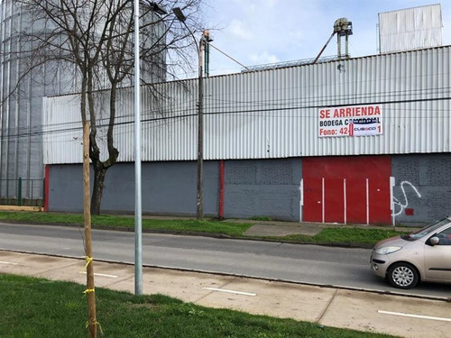 Imagen 6 de 6 de Bodega En Arriendo En Chillán