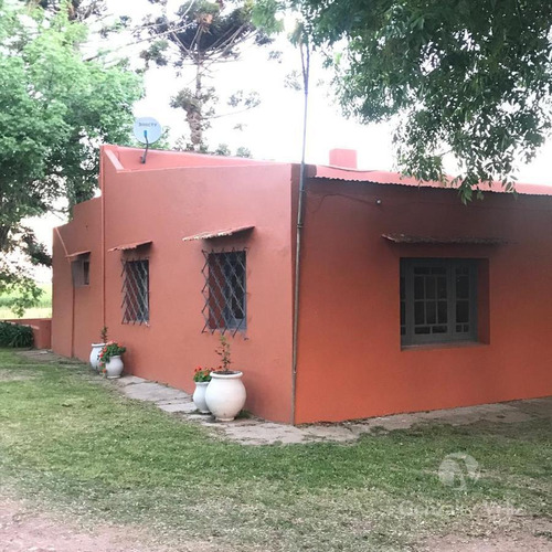 Imagen 6 de 18 de Chacra - Carmelo