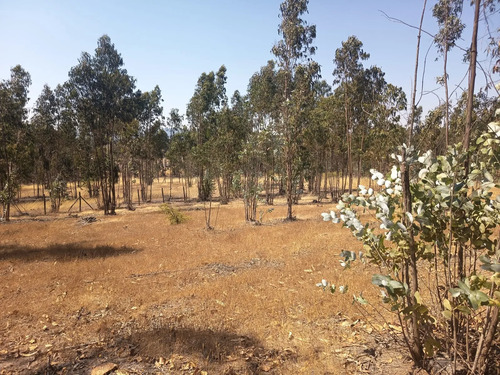 Oportunidad Parcela En Peralillo 5000 M2