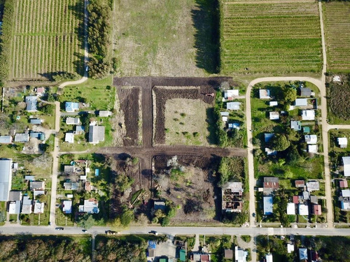 Imagen 7 de 7 de Terreno - Colonia Valdense