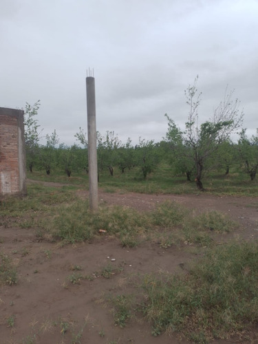 ¡oportunidad! Finca 5 Has Ciruelos Rama Caída, San Rafael