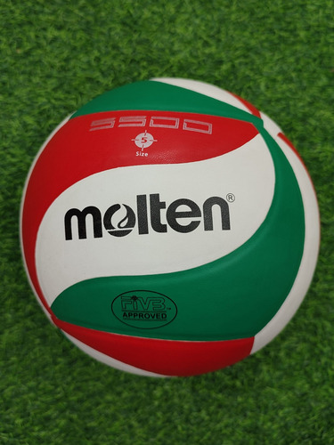 Balón De Voleibol Molten N°5 Profesional