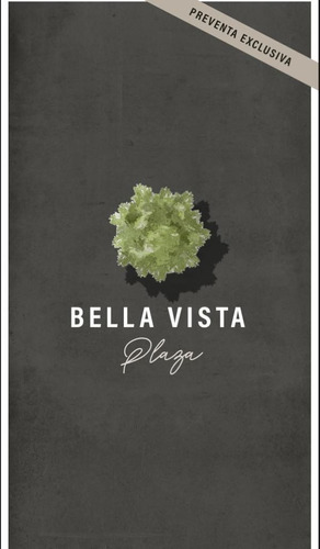 Preventa Bella Vista Plaza 