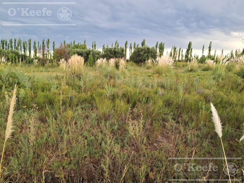 Oportunidad Venta De 2 Fincas Aledañas En Cañada Seca , San Rafael , Mendoza. Frutihorticola, Forrajes, Turismo,