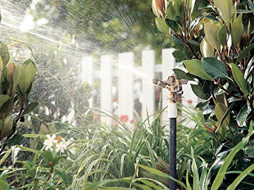 Rainbird Nacional Sls 25pjdac Impulse Sprinkler Laton 50