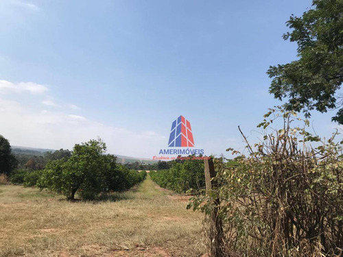 Imagem 4 de 5 de Terreno À Venda, 75000 M² Por R$ 9.750.000,00 - Limeira - Limeira/sp - Te0229