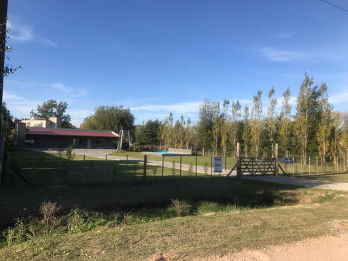 Imagen 5 de 11 de Venta, Quinta, 3 Ambientes, Quincho, Parrilla, Pileta, Jardín, Saladillo.