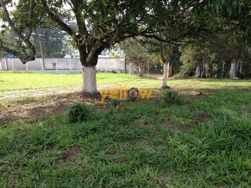 Imagem 12 de 15 de Terreno - Varadouro - Te-1210