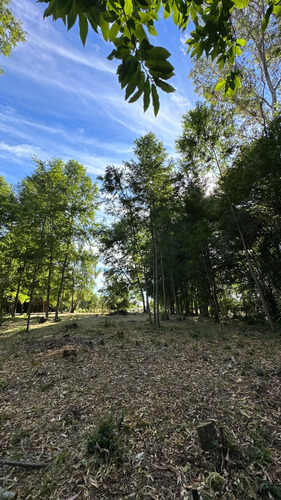 Parcela Urbana En Venta, Gorbea