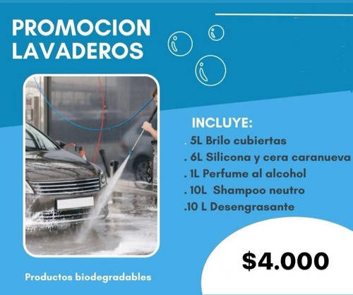 Promo Kit Canasta Completa Para Lavadero De Autos 