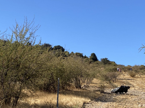 Hermoso Fundo Ubicado A 6,5 Km De San Fernando