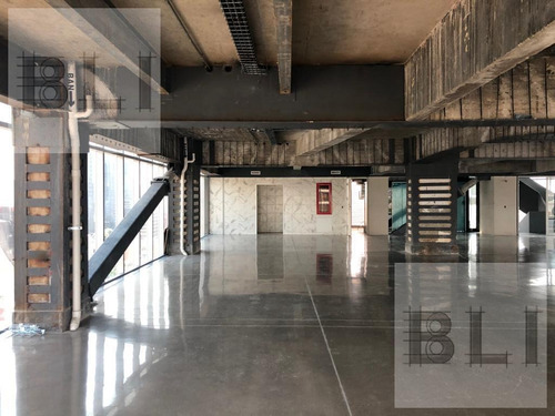 Imagen 12 de 15 de Edificio Comercial En Renta En La Colonia Roma