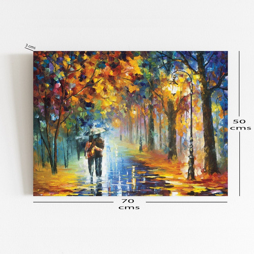 Imagen 2 de 3 de Cuadro 70x50 Cms Decorativo Camino