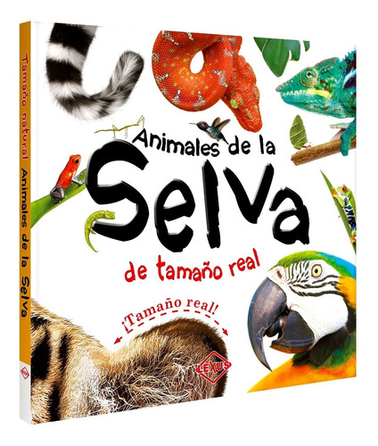 Libro Animales De La Selva De Tamaño Real Desplegable