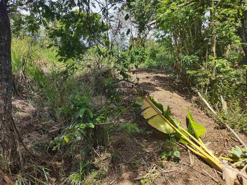 Imagem 22 de 28 de Terreno À Venda No Bairro Pilões - Guaratinguetá/sp - Tr009
