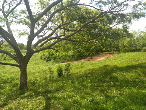 Imagen 17 de 17 de Finca En Venta Ubicada En San Jose De Sanare Estado Falcon.