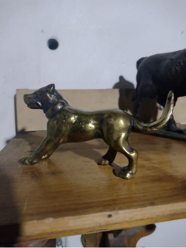 Perro En Bronce