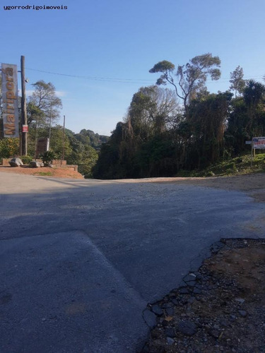 Imagem 1 de 15 de Terreno Para Venda Em Mairiporã, Jardim Sabambaia - 8063yg_1-1599393