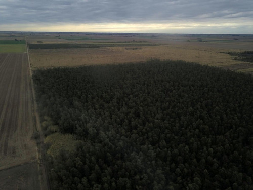 Imagen 6 de 11 de Campo - Andino