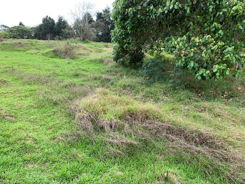 (k.a) Lotes Prox A Ferras De Vasconcelos