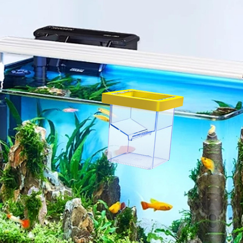 Caja De Aislamiento Para Cría De Peces, Incubadora Flotante