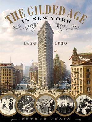 Libro The Gilded Age In New York, 1870 - 1910 - Esther Cr...