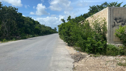 Imagen 10 de 13 de Terreno Venta Cancun Doctores 2500m2
