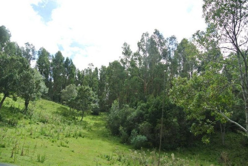 Campo En Venta